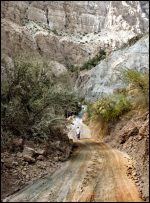 Odile Lapujoulade - Seul dans le wadi